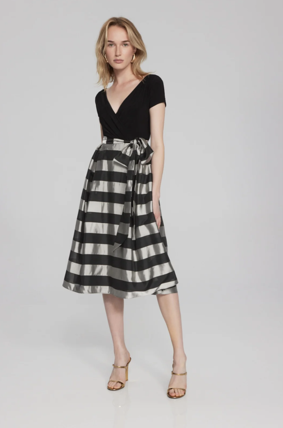 Organza Fit and Flare Dress