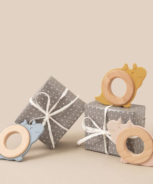 Dinosaur Baby Teether