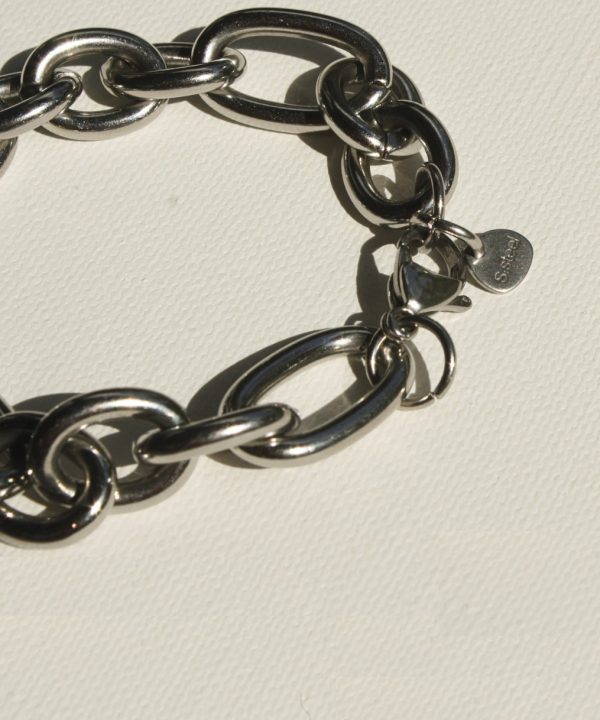 Alternative view of The Chunky Silver