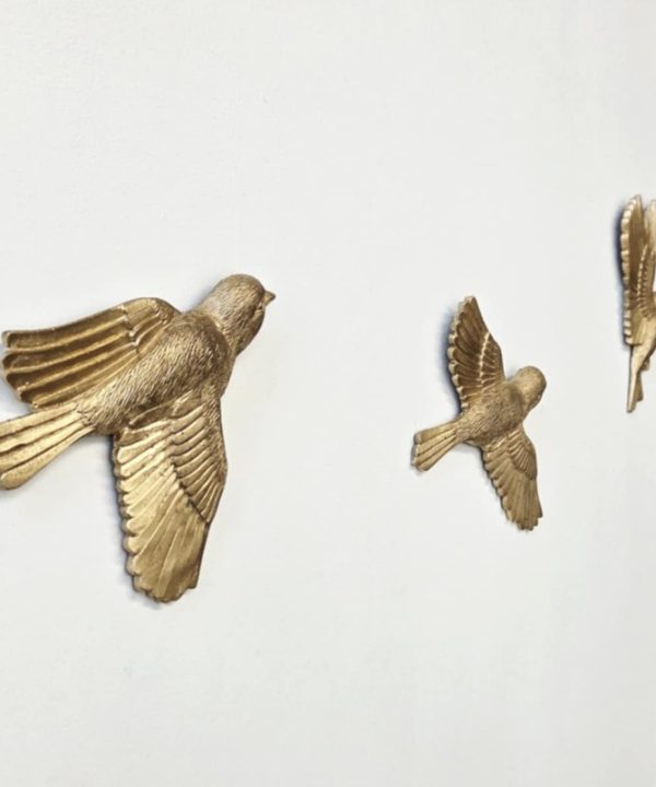 Set of 5 Birds in Flight