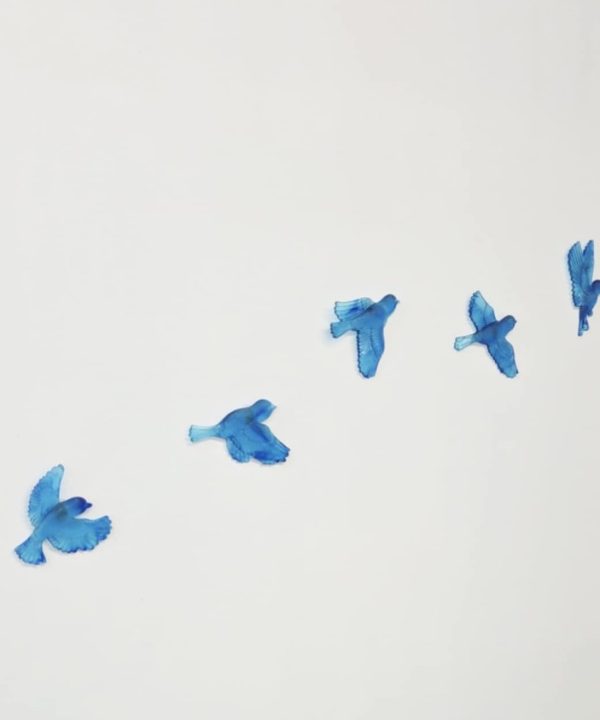 Alternative view of Set of 5 Birds in Flight